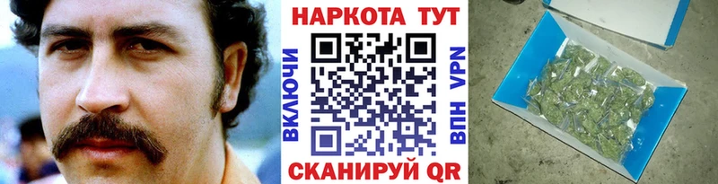 Наркота Гатчина COCAIN  Лсд 25  Канабис  Мефедрон 