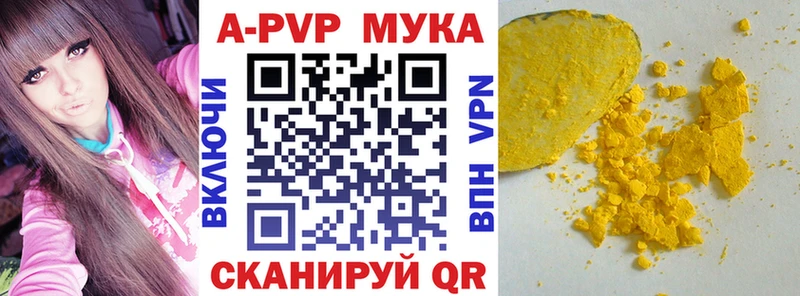Alfa_PVP крисы CK  kraken как войти  Гатчина  где можно купить  